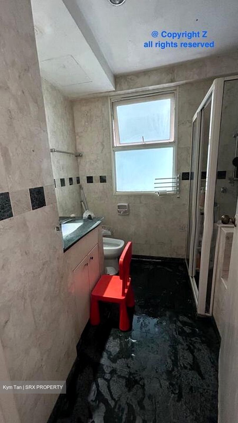 Evergreen Park (D19), Apartment #502213681